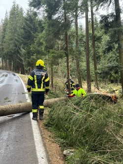 Einsatz Sturmschaden 04.01.2024